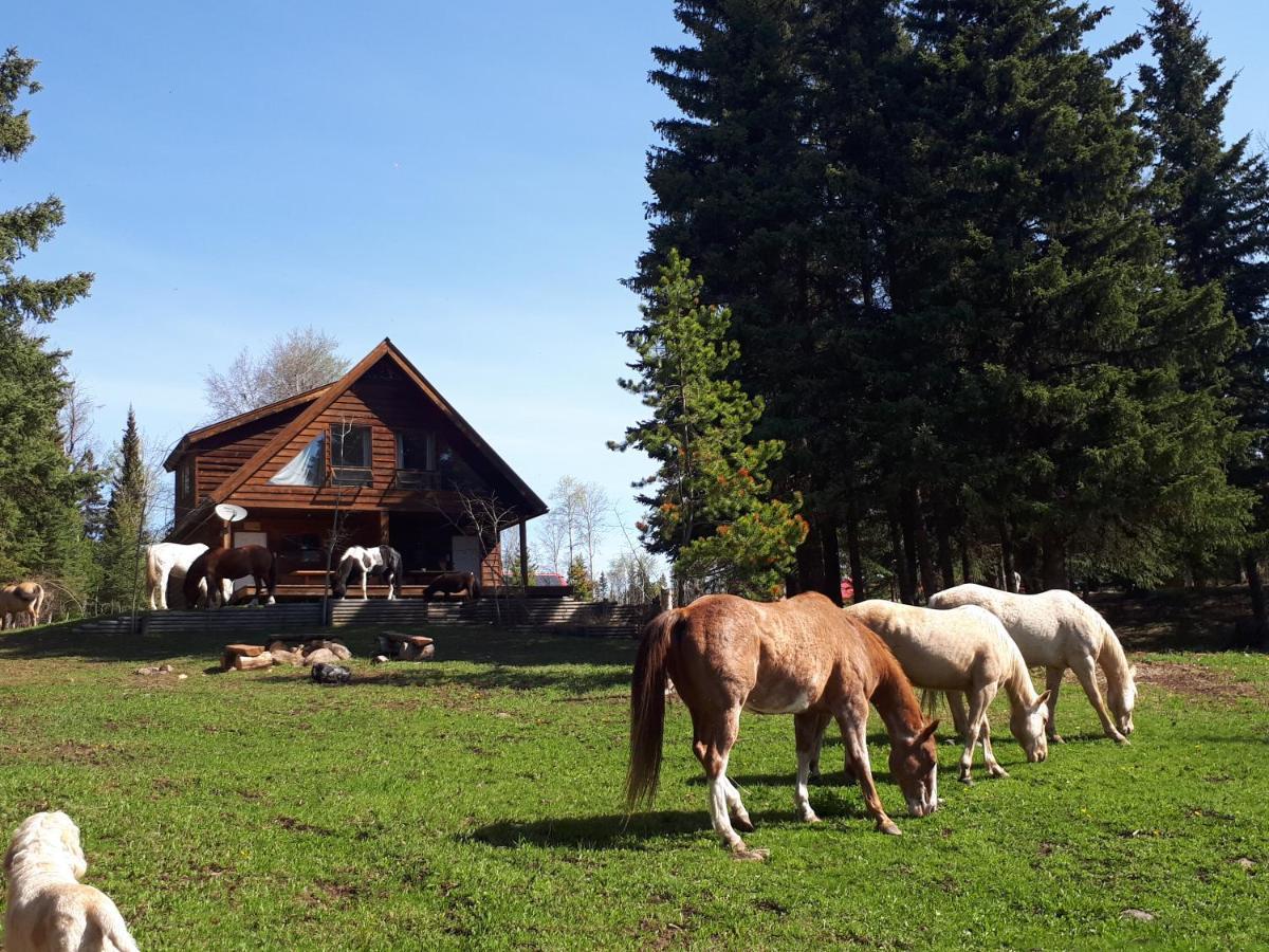 Bed and Breakfast Wettstone Guest Ranch Bridge Lake Zewnętrze zdjęcie